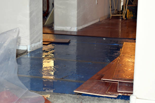 Professional Sewage Cleanup technician working in Collins, WI